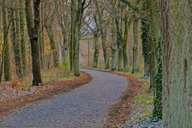 Siyah bazalt küplerle kaplı kırsal, dar bir yol. Her iki tarafta da büyük, uzun meşe ağaçları var. Sonbaharda, yol kenarları kalın bir yaprak tabakasıyla kaplanır..