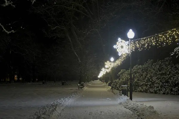 Winter evening in the park. A park alley covered with a layer of white snow. On the right side there is a garland of lights illuminating the darkness.