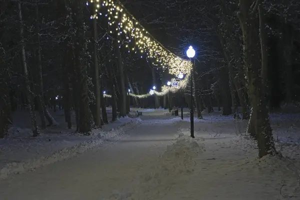 Winter evening in the park. A park alley covered with a layer of white snow. On the right side there is a garland of lights illuminating the darkness.