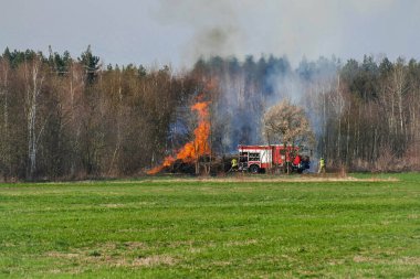Tarım arazisinde toplanan kuru dallar ve itfaiyeciler tarafından gerçekleştirilen yangın söndürme operasyonları. Baharın ilk zamanları, kuru otları yakma zamanı..