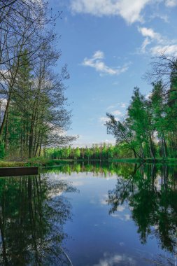 Göl yüksek bir çam ormanında yer almaktadır. Güneşli bir gün, gökyüzü hafif bulutlu..