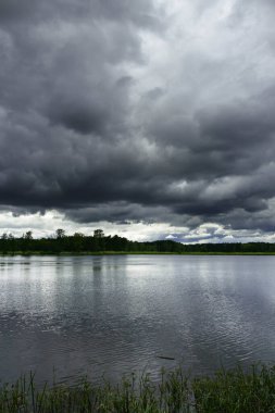 Yağmurlu bir günde orman gölü. Bankalar yeşil çimenler ve yapraklı ağaçlarla kaplıdır. Gökyüzü göl yüzeyine yansıyan kara bulutlarla kaplıdır..
