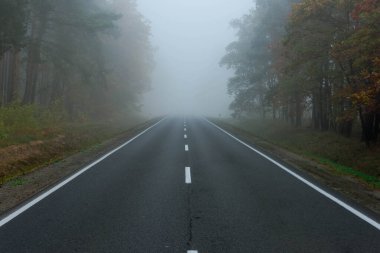 Sisli bir sonbahar sabahında ormanın içinden geçen asfalt bir yol. Sis yol üzerinde asılı, görüş mesafesini ciddi bir şekilde kısıtlıyor..
