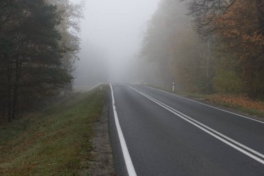 Sisli bir sonbahar sabahında ormanın içinden geçen asfalt bir yol. Sis yol üzerinde asılı, görüş mesafesini ciddi bir şekilde kısıtlıyor..