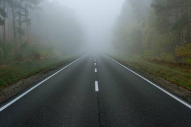 Sisli bir sonbahar sabahında ormanın içinden geçen asfalt bir yol. Sis yol üzerinde asılı, görüş mesafesini ciddi bir şekilde kısıtlıyor..
