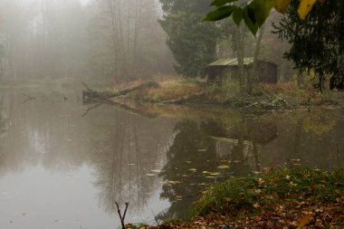 Sisli bir sonbahar sabahında küçük bir orman göleti. Bankalar sarı-kahverengi kuru otlarla kaplıdır ve arka planda ağaçlar yetişir. Ortasında eski ahşap bir kışlası olan bir ada var..