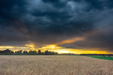 Akşam gökyüzü karanlık, fırtına bulutlarıyla kaplı. Ufukta bir yağmur serisi görülebilir. Batan güneşin ışınlarıyla aydınlatılan açıklıklar var..