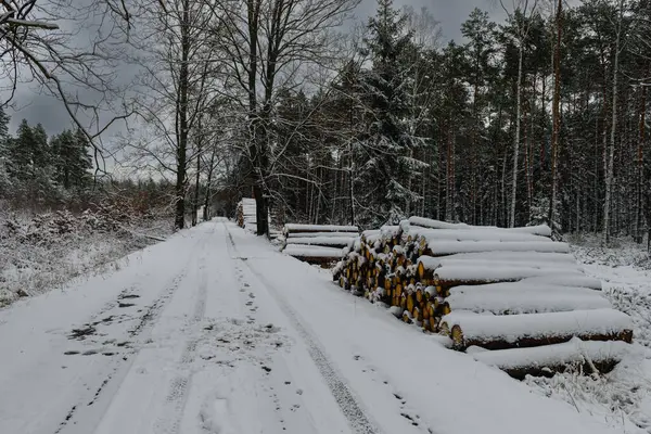 Kışın düz bir orman yolu. Yol kenarlarında iki sıra yapraksız meşe ağacı. Arka planda çam ve çam ağaçları yetişir. Yol kenarında bir yığın odun var. Kar zemini ve ağaçları kaplıyor..