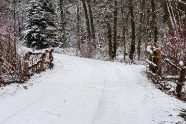 Kış ormanı Ağaçlar, zemin ve ağaçlar arasında uzanan yol kalın bir kar tabakasıyla kaplıdır. Yol boyunca çiğ ahşaptan bariyerler var..