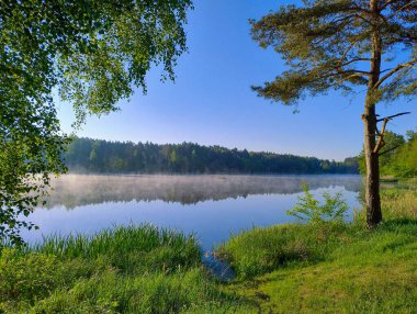 Gölde güneşli bir sabah. Gökyüzü bulutsuz, gölün kusursuz pürüzsüz yüzeyine yansıyor. Sahilde bir orman yetişiyor. Sis bulutu gölün üzerinde sarkıyor.