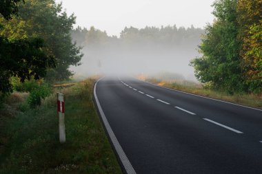Sabahın erken saatlerinde asfalt bir yol. Güneş solda parlıyor. Uzakta, yol, yere doğru sarkan kalın bir sisin içinde kaybolur..