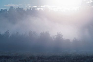 Çayırların üzerinde bir Ağustos sabahı. Güneşli bir gün, yoğun bir sis karada süzülüyor, manzarayı karalıyor. Yükselen güneş sisi aydınlatıyor..