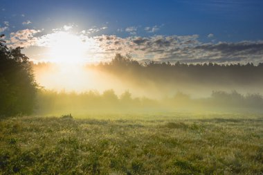 Çayırların üzerinde bir Ağustos sabahı. Güneşli bir gün, yoğun bir sis karada süzülüyor, manzarayı karalıyor. Yükselen güneş sisi aydınlatıyor..