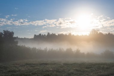 Çayırların üzerinde bir Ağustos sabahı. Güneşli bir gün, yoğun bir sis karada süzülüyor, manzarayı karalıyor. Yükselen güneş sisi aydınlatıyor..