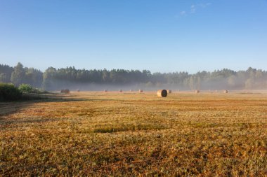Ağustosta çayırların üzerinde gün doğumu. Çayırın üzerinde bir sis bulutu asılı. Saman yapma zamanı ve balya balya saman sislerin arasından görülebilir..