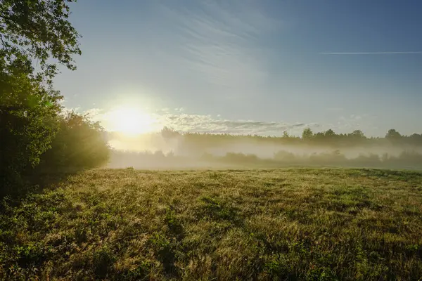 Çayırların üzerinde bir Ağustos sabahı. Güneşli bir gün, yoğun bir sis karada süzülüyor, manzarayı karalıyor. Yükselen güneş sisi aydınlatıyor..