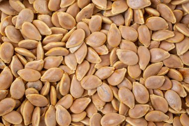 Kabak çekirdekleri ile dolu tam çerçeve, düz yakın yatar