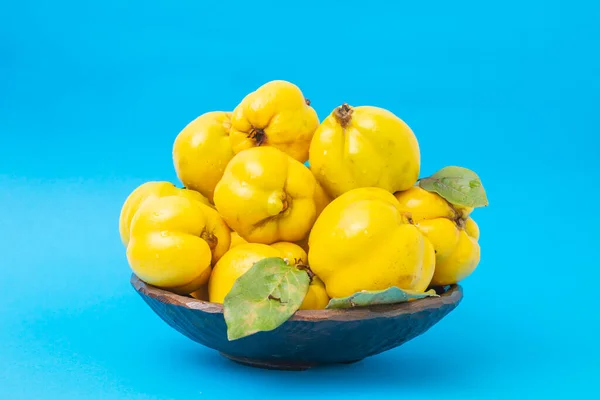 Quince fruits pile on a wooden bowl, on blue background, side view