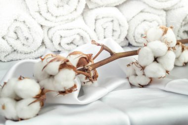Beyaz saten üzerinde pamuk tomurcukları ve arka planda rulo havlular, yumuşak odaklanma yakın