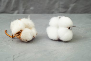 Real vs fake cotton flowers on gray background, soft focus close up