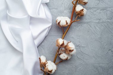 Genuine Cotton plant flowers with white satin fabric on gray cement background, soft focus close up