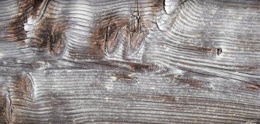 Dry, sun discolored wood board, close up, Textured backdrop.