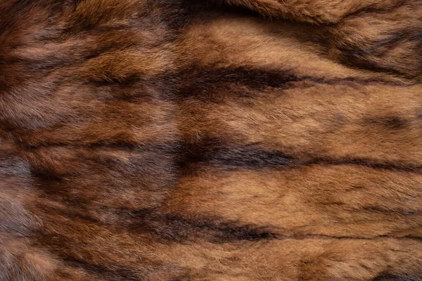 ブラウンファーコートの質感 抽象的な動物の肌のパターン クローズアップ — ストック写真