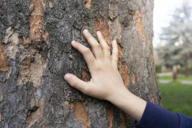 Çocuk eli ağaç kabuğu dokusunda, yumuşak odak noktası kopya alanı ile yakın