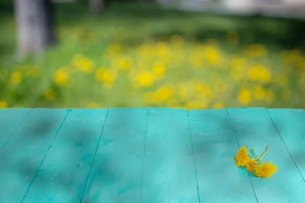 Blue painted wood boards stage with defocused dandelion flowers field in the background, empty space for product display