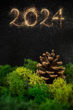 Pine cone in lush lichen moss, with 2024 number written with bengal sparklers on dark night  background, side view, soft focus close up, happy new year poster clipart