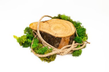 Ağaç gövdesi kesit jute halat, ve liken, ürün gösterimi için boş arkaplan ayarı, beyaz arkaplan izole