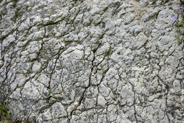 Узор Горного Валуна Текстура Скальной Стены Крупным Планом — стоковое фото