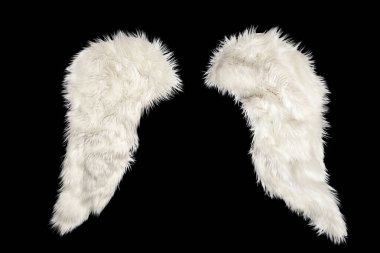 Siyah arkaplanda izole edilmiş iki beyaz tüylü kanat, şenlikli model element