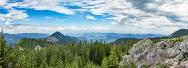 Romanya 'nın Rarau dağlarından yüksek manzaralı bir manzara, köknar ağaçları ormanı ve pankartıyla