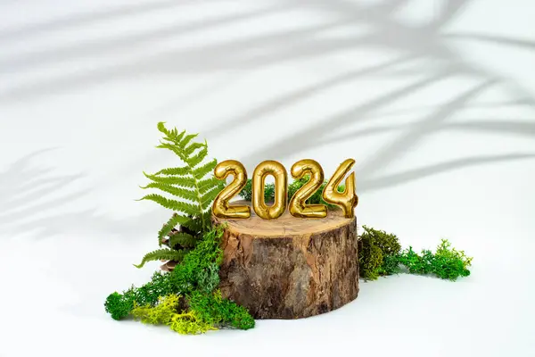 2024 tin foil balloons number on a Tree stump surrounded by moss and fern leaves  with palm shadows. Happy new year