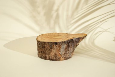 Odaklanmamış palmiye yapraklarıyla bej arka planda ağaç kalınlığında kesit 