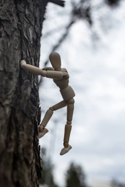 Tahta eklemli manken çam ağacına tırmanıyor. Yumuşak odaklı, kopyalama alanı olan.  