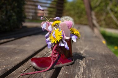 Tahta bir bankta, deri bir ayakkabının içinde güzel bahar çiçekleri. 