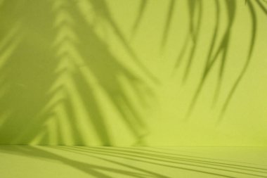 Parlak yeşil kağıt zemin üzerinde egzotik palmiye yaprakları, yemyeşil siluet dokusu, ürün için soyut çözülmüş arka plan  