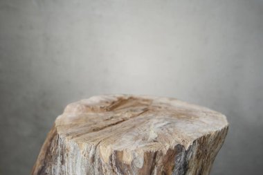 Gri arkaplanda ağaç gövdesi dokusu, soyut ürün  