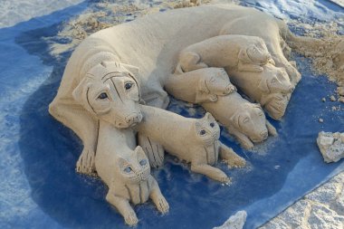 Mavi plastik üzerinde ıslak kumdan yapılmış kediler ve köpekler. 