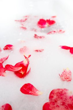 Kırmızı gül yapraklı beyaz banyo köpüğü, soyut kabarcık dokusu.
