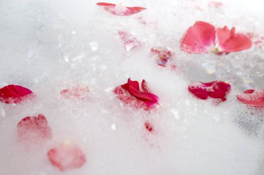 Kırmızı gül yapraklı beyaz banyo köpüğü, soyut kabarcık dokusu. 