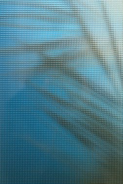 Mavi arka planda egzotik palmiye yaprakları, kıvrımlı cam dokusu boyunca bitki siluetleri, ürün için soyut arkaplan 