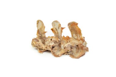 Omurga kemiği soyulmuş et, köpek maması, beyaz tenli.  