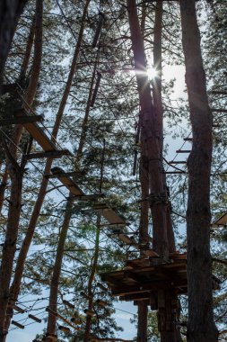 Orman macerasında ağaçta bir platform. Engel parkurunda, ağaçların dağılması ve güneş ışığı. 