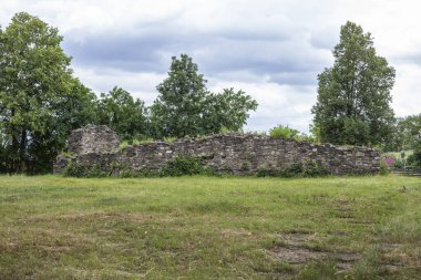 Arka planda ve çimlerde ağaçlar olan taş duvarlar harabe.  