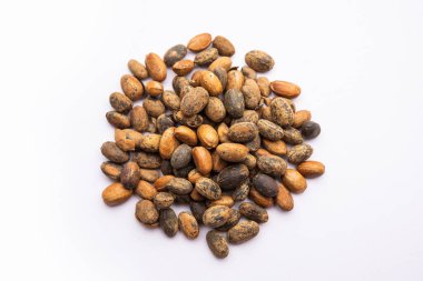 Jamalgota or Jayapala - Croton tiglium seed is an Ayurvedic medicine also known as purging croton