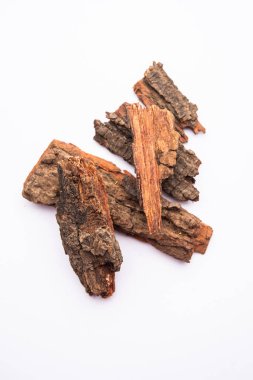 Babul Chaal veya Acacia Bark Vachellia, Nilotica kabuğu, Kikar Chaal, Sakız Arap Ağacı Kabuğu olarak da bilinir.