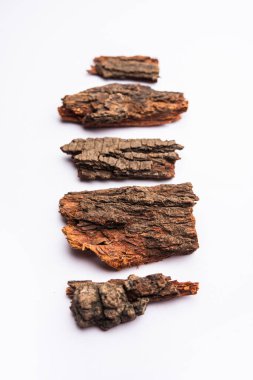 Babul Chaal veya Acacia Bark Vachellia, Nilotica kabuğu, Kikar Chaal, Sakız Arap Ağacı Kabuğu olarak da bilinir.